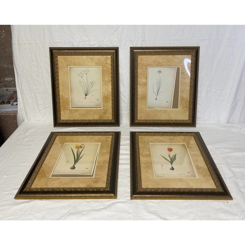 Botanical Garden Prints